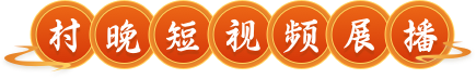 村晚短视频